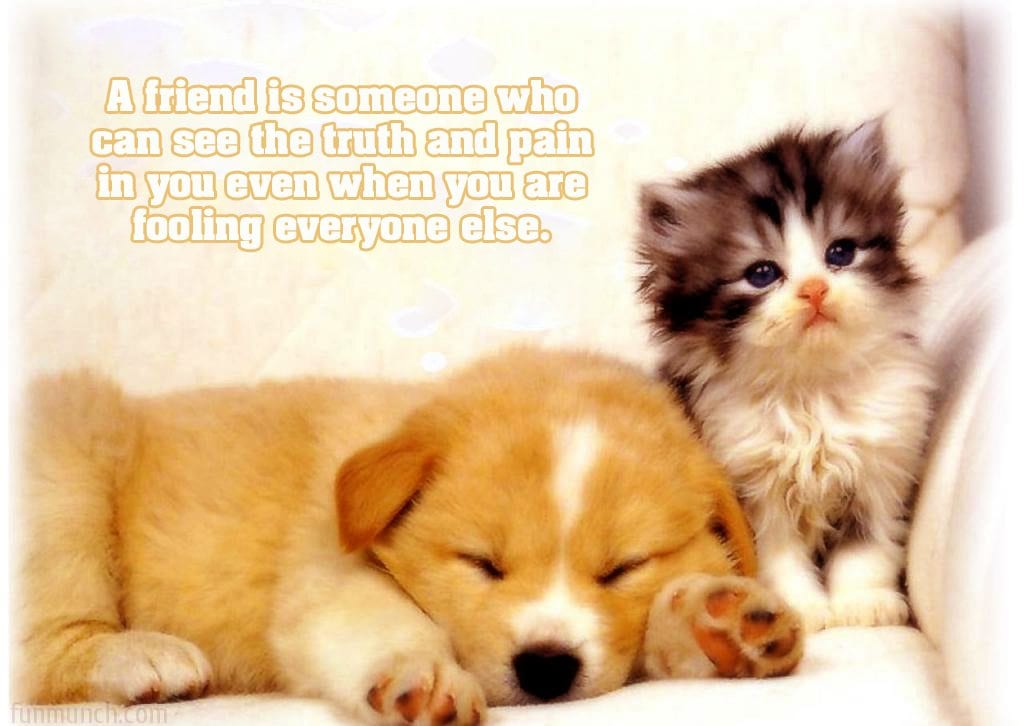 Animals-Friendship-day-message