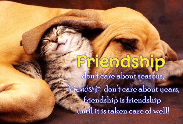Friendship-Quotes