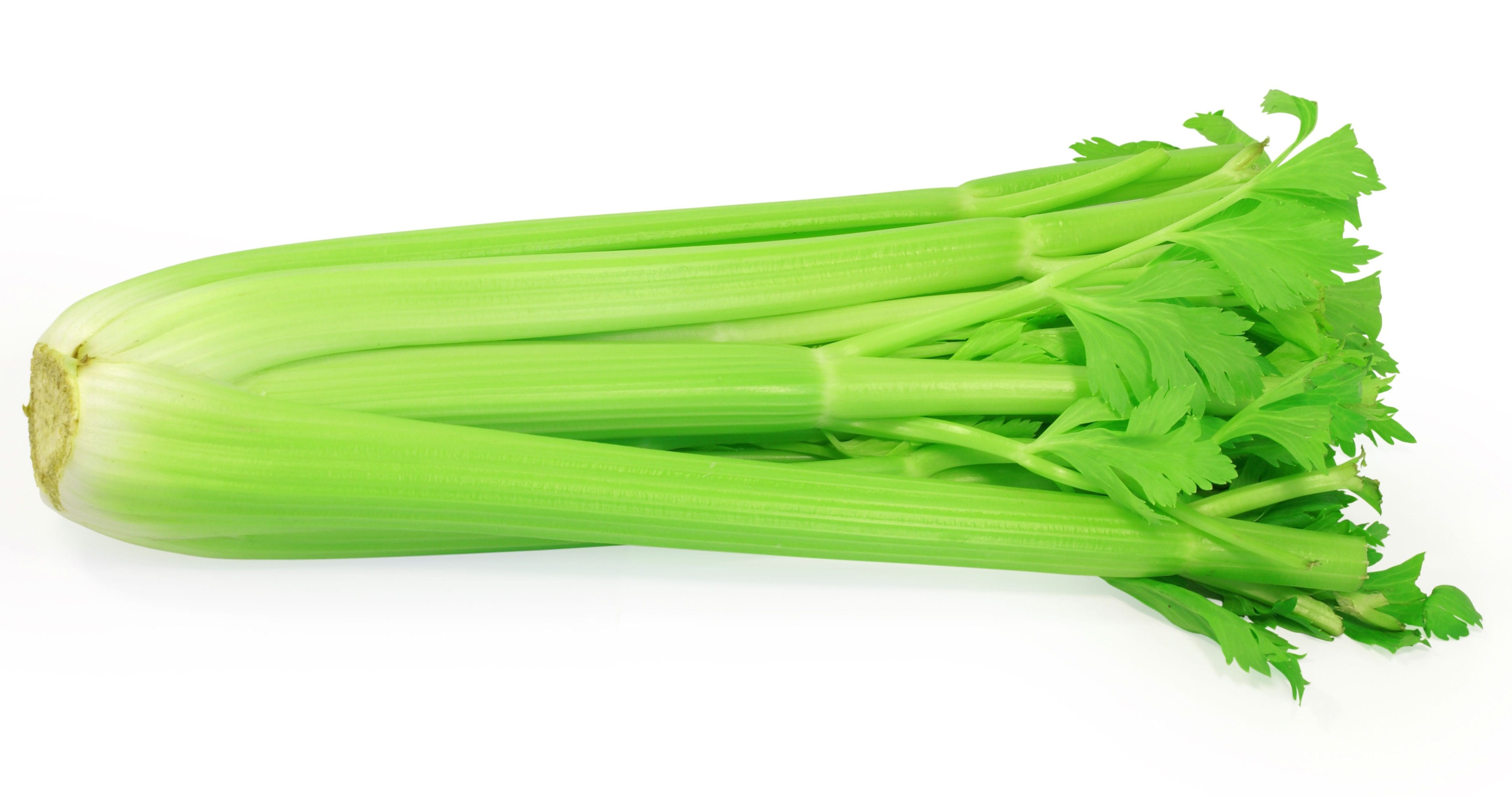 celery-natural-healing-food