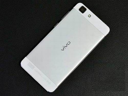 vivo2