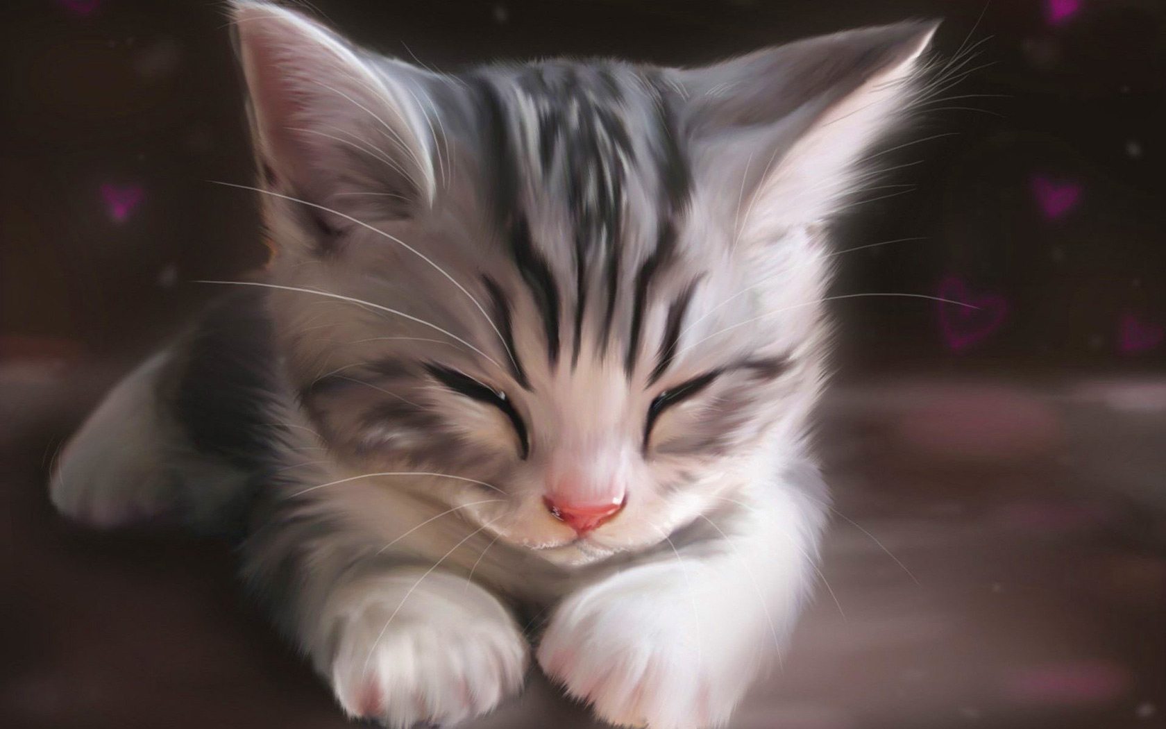 SleepyKitten52013_freecomputerdesktopwallpaper_1680